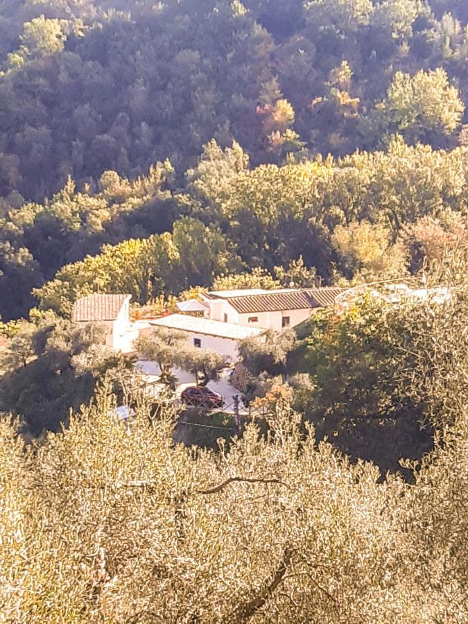 La Dimora Degli Angeli Bed & Breakfast Perugia Exterior photo